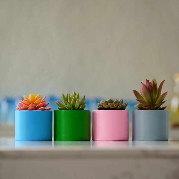 Ceramic Succulent Pot - Image 2