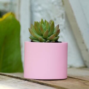 Creative Round Succulent Planter