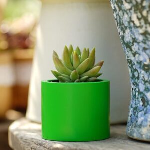 Ceramic Succulent Pot